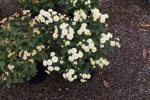 高麗神社のその他建物