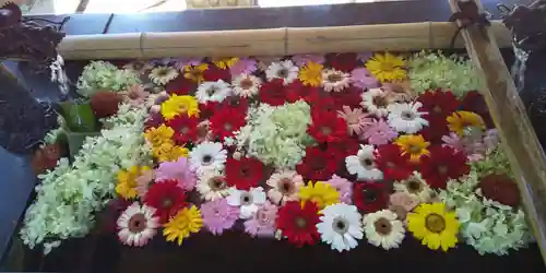 美幌神社の手水舎