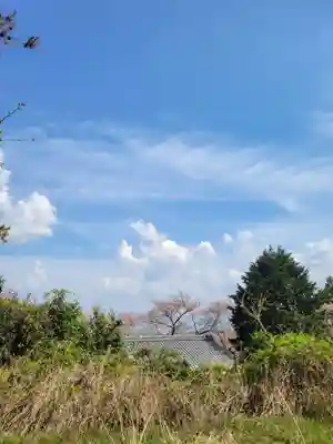 勝持寺（花の寺）(京都府)