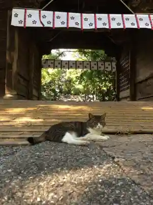 潮江天満宮の山門・神門