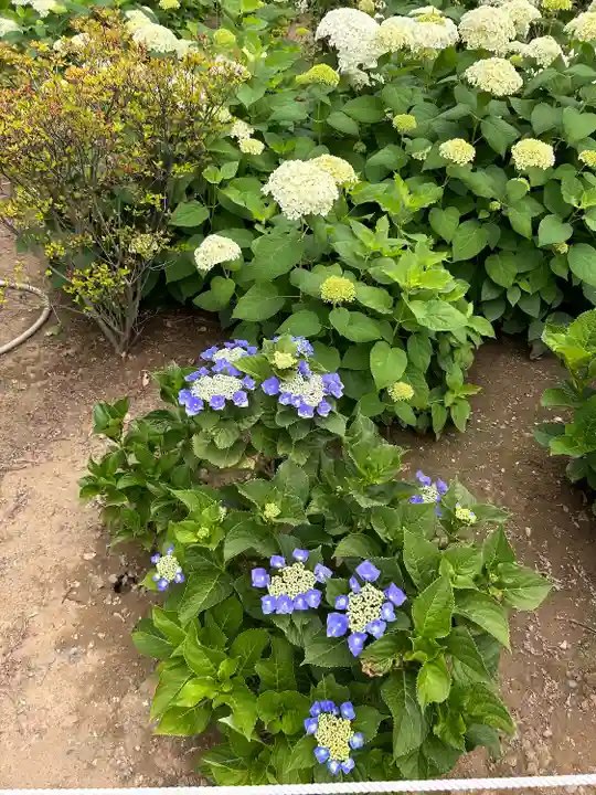 能護寺(埼玉県)