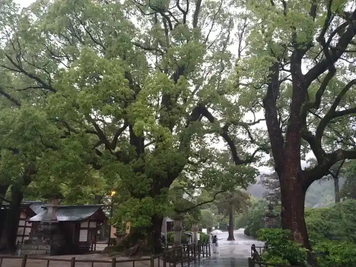 太宰府天満宮の自然