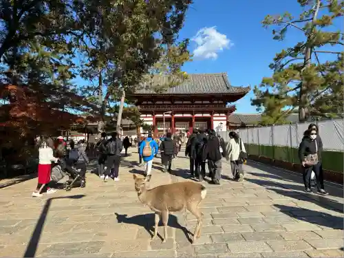 東大寺(奈良県)