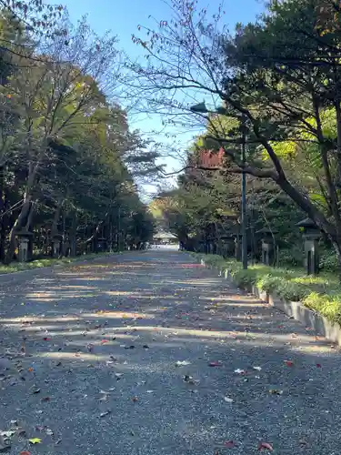 北海道神宮の景色