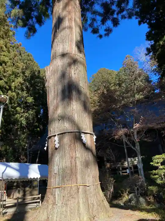 河口浅間神社(山梨県)