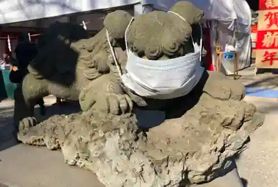 田無神社の狛犬