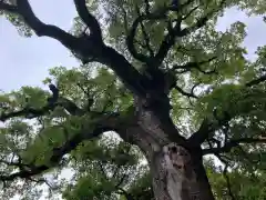 金剛宝寺（紀三井寺）(和歌山県)