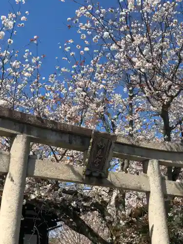 本満寺（本願満足寺）の鳥居