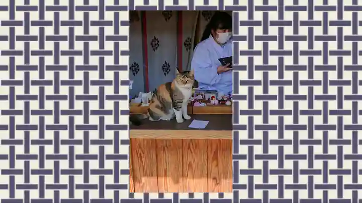 前玉神社(埼玉県)