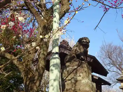 天満宮の狛犬