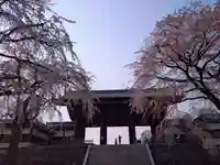 東郷寺(東京都)