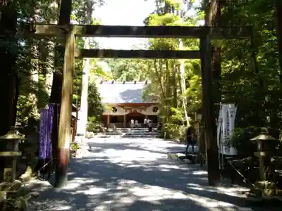 椿大神社の鳥居
