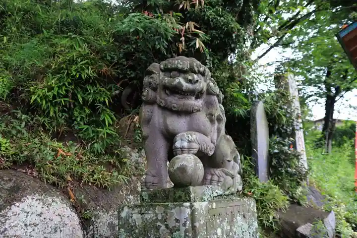 阿久津「田村神社」(郡山市阿久津町)旧社名:伊豆箱根三嶋三社の狛犬