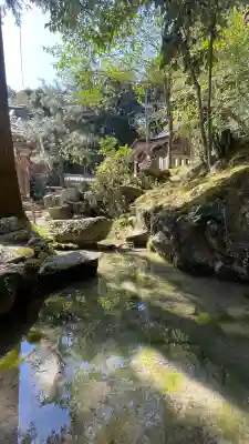 天之御中主尊神社の{uncategorized: "未分類", other: "その他", undefined: "問題あり", building: "その他建物", grave: "お墓", sacred_gate: "鳥居", guardian: "狛犬", statue: "像", buddha: "仏像", history: "歴史", nature: "自然", garden: "庭園", animal: "動物", pagoda: "塔", temizu: "手水舎", mountain_gate: "山門・神門", sanctuary: "本殿・本堂", subordinate: "末社・摂社", art: "芸術", scenery: "景色", jizo: "地蔵", ema: "絵馬", goshuin: "御朱印", omikuji: "おみくじ", items: "授与品その他", amulet: "お守り", goshuincho: "御朱印帳", eats: "食事", festival: "お祭り", votive_dance: "神楽", shichigosan: "七五三参", wedding: "結婚式", experience: "体験その他", initially: "初詣", around: "周辺", anti_infection: "感染症対策"}