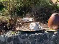 屋敷稲荷の動物