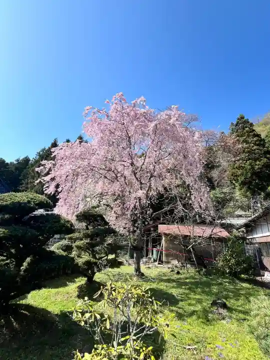 仏隆寺の{uncategorized: "未分類", other: "その他", undefined: "問題あり", building: "その他建物", grave: "お墓", sacred_gate: "鳥居", guardian: "狛犬", statue: "像", buddha: "仏像", history: "歴史", nature: "自然", garden: "庭園", animal: "動物", pagoda: "塔", temizu: "手水舎", mountain_gate: "山門・神門", sanctuary: "本殿・本堂", subordinate: "末社・摂社", art: "芸術", scenery: "景色", jizo: "地蔵", ema: "絵馬", goshuin: "御朱印", omikuji: "おみくじ", items: "授与品その他", amulet: "お守り", goshuincho: "御朱印帳", eats: "食事", festival: "お祭り", votive_dance: "神楽", shichigosan: "七五三参", wedding: "結婚式", experience: "体験その他", initially: "初詣", around: "周辺", anti_infection: "感染症対策"}