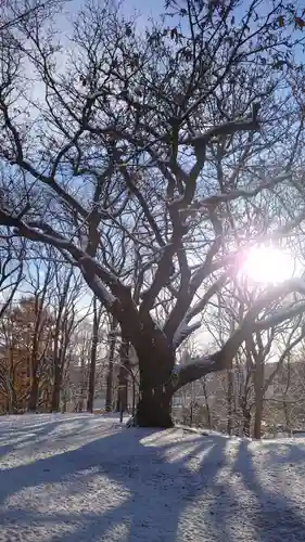 相馬神社(北海道)