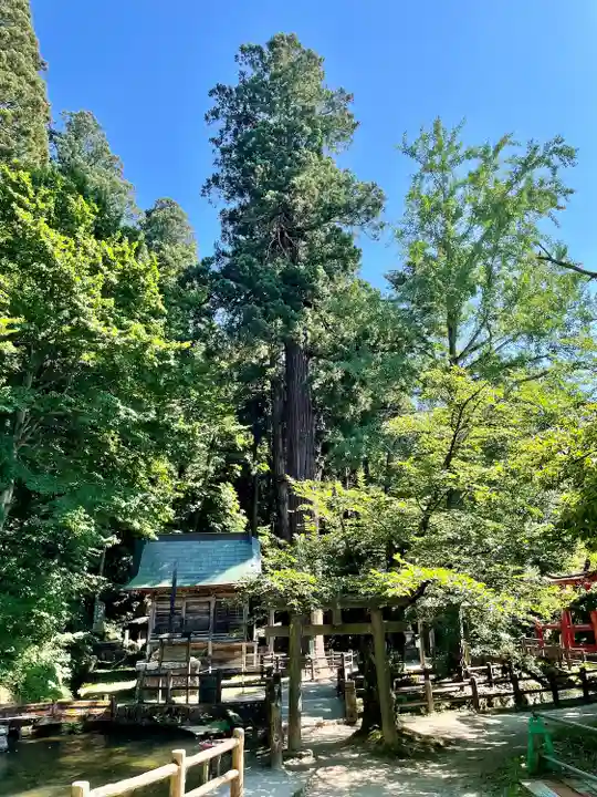 厳島神社(嚴島神社)(福島県)