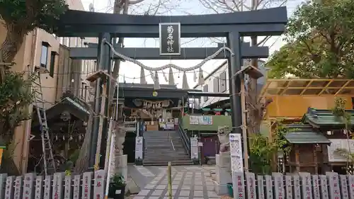 菊名神社の鳥居