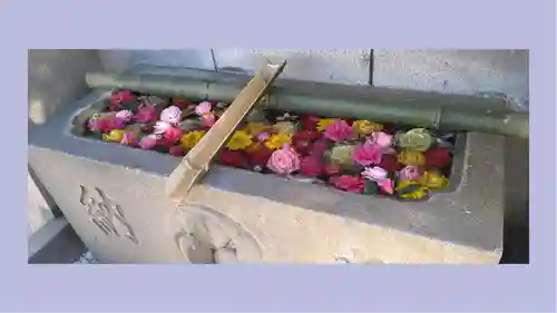尾久八幡神社(東京都)