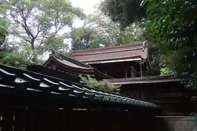 櫻井神社(愛知県)