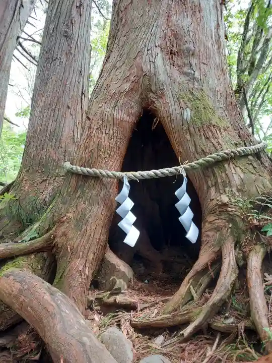 戸隠神社奥社の{uncategorized: "未分類", other: "その他", undefined: "問題あり", building: "その他建物", grave: "お墓", sacred_gate: "鳥居", guardian: "狛犬", statue: "像", buddha: "仏像", history: "歴史", nature: "自然", garden: "庭園", animal: "動物", pagoda: "塔", temizu: "手水舎", mountain_gate: "山門・神門", sanctuary: "本殿・本堂", subordinate: "末社・摂社", art: "芸術", scenery: "景色", jizo: "地蔵", ema: "絵馬", goshuin: "御朱印", omikuji: "おみくじ", items: "授与品その他", amulet: "お守り", goshuincho: "御朱印帳", eats: "食事", festival: "お祭り", votive_dance: "神楽", shichigosan: "七五三参", wedding: "結婚式", experience: "体験その他", initially: "初詣", around: "周辺", anti_infection: "感染症対策"}
