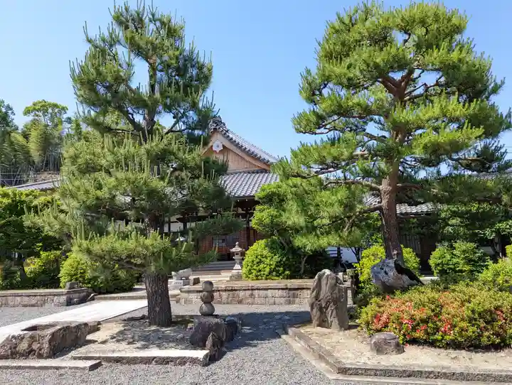 大善寺(京都府)