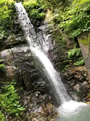 大正寺(中野不動尊)の景色