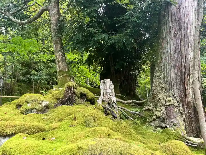 西明寺(滋賀県)