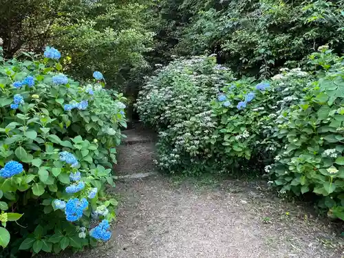 粟井神社(香川県)