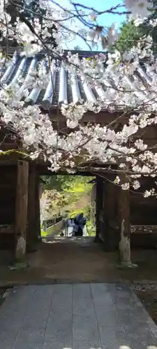 熊谷寺の山門