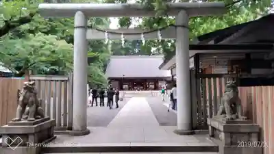 乃木神社の鳥居