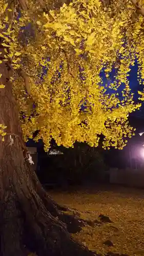 丹生酒殿神社の自然