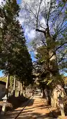 八阪神社(滋賀県)