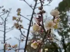 美奈宜神社(福岡県)