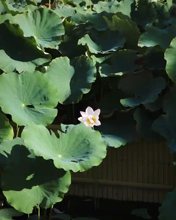 善光寺大勧進(長野県)