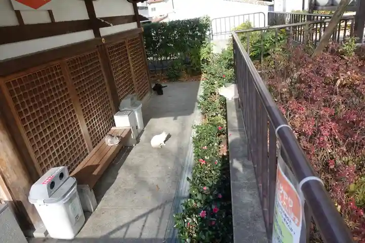 石切劔箭神社のその他建物