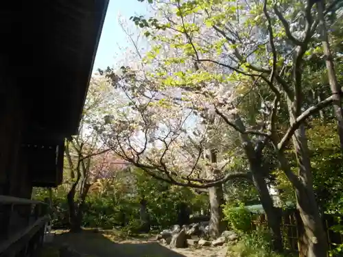 極楽寺（霊鷲山感應院極楽律寺）の自然