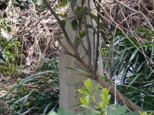第六天神社（第六天社）のその他建物