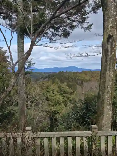 柳谷観音　楊谷寺の{uncategorized: "未分類", other: "その他", undefined: "問題あり", building: "その他建物", grave: "お墓", sacred_gate: "鳥居", guardian: "狛犬", statue: "像", buddha: "仏像", history: "歴史", nature: "自然", garden: "庭園", animal: "動物", pagoda: "塔", temizu: "手水舎", mountain_gate: "山門・神門", sanctuary: "本殿・本堂", subordinate: "末社・摂社", art: "芸術", scenery: "景色", jizo: "地蔵", ema: "絵馬", goshuin: "御朱印", omikuji: "おみくじ", items: "授与品その他", amulet: "お守り", goshuincho: "御朱印帳", eats: "食事", festival: "お祭り", votive_dance: "神楽", shichigosan: "七五三参", wedding: "結婚式", experience: "体験その他", initially: "初詣", around: "周辺", anti_infection: "感染症対策"}