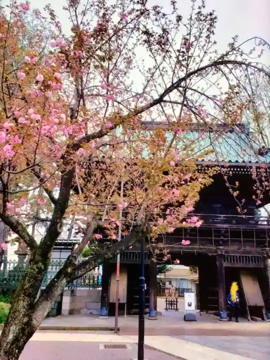 妙法寺(東京都)