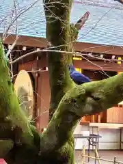 乃木神社(東京都)