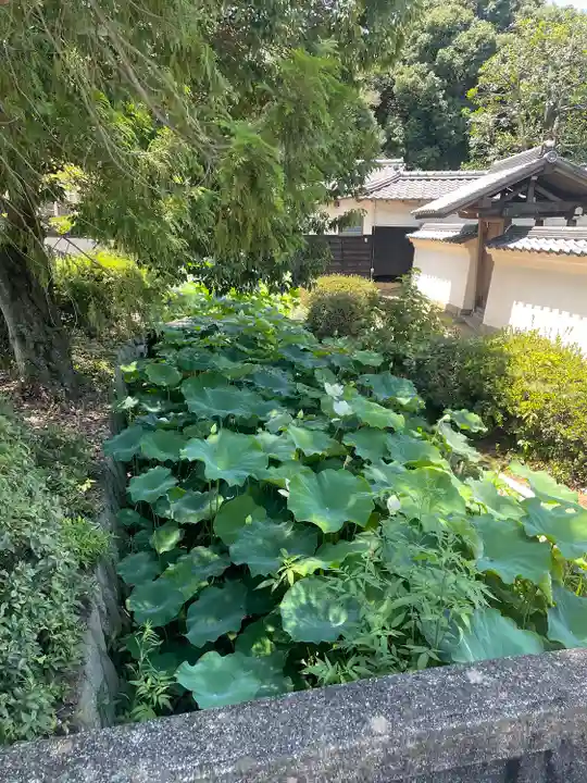 雲龍山 本證寺(愛知県)