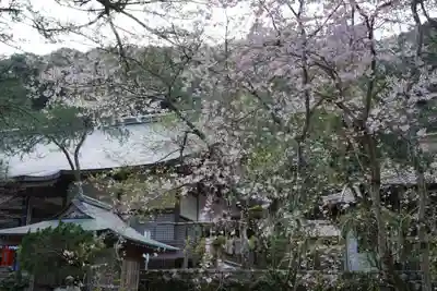 大寧寺(山口県)