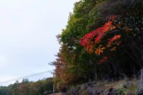 横岳神社(長野県)