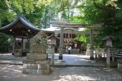 杵築大社の鳥居