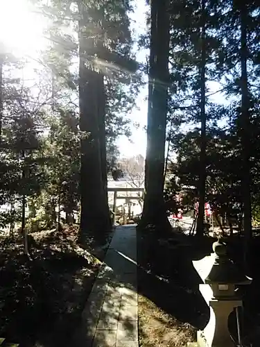 鹿島大神宮の自然