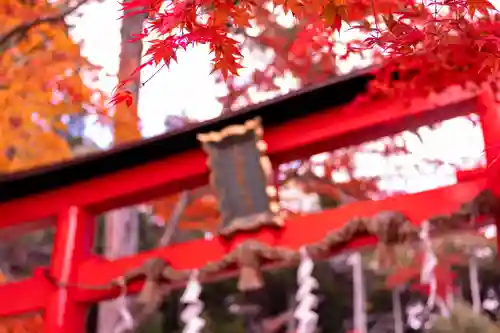 大原野神社(京都府)