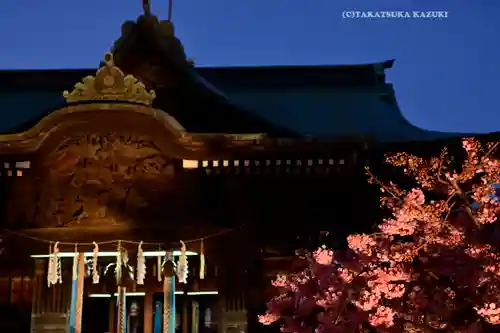 桜神宮(東京都)