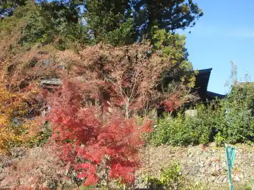秩父札所１番　四萬部寺(埼玉県)